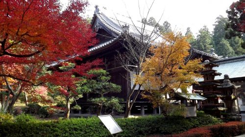 白峯寺の絶景写真