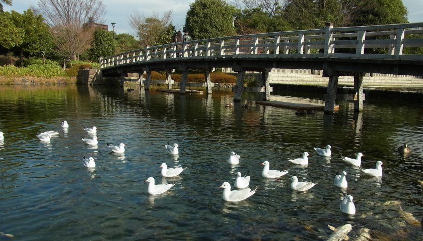 愛知県の絶景スポット「白鳥庭園」