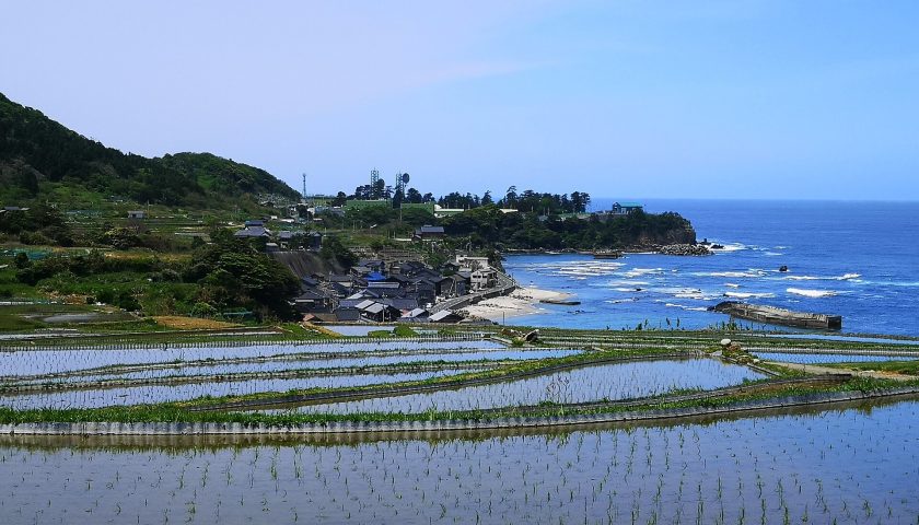京都府の絶景スポット「袖志の棚田」
