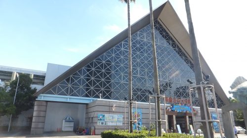 神戸市立須磨海浜水族園の絶景写真