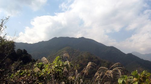 高川山の絶景写真