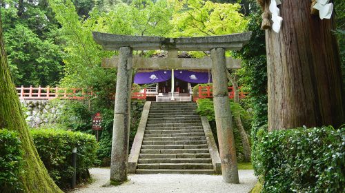 高鴨神社の絶景写真