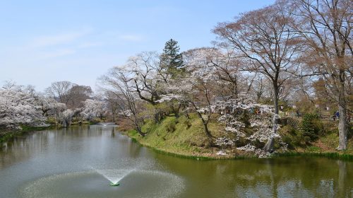 棚倉城の絶景写真