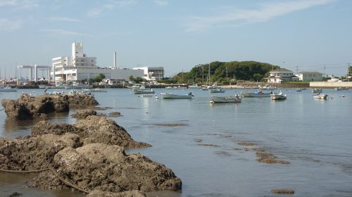 天神島の絶景写真