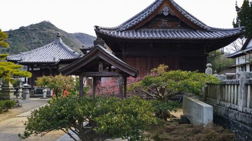 天皇寺の絶景写真