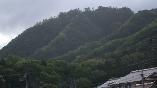 鳶ヶ巣城の絶景写真