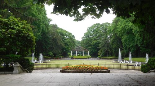 栃木県中央公園の絶景写真