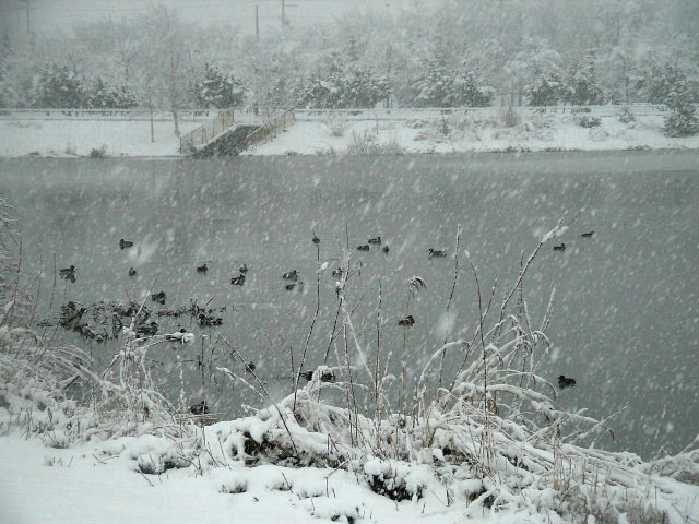 北海道の絶景スポット「トンネウス沼」