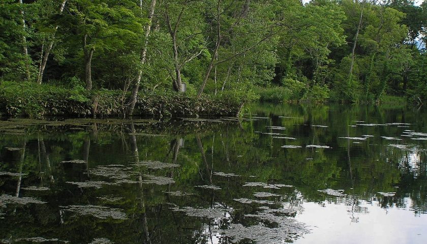 北海道の絶景スポット「鳥沼公園」