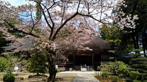 土佐国分寺の絶景写真