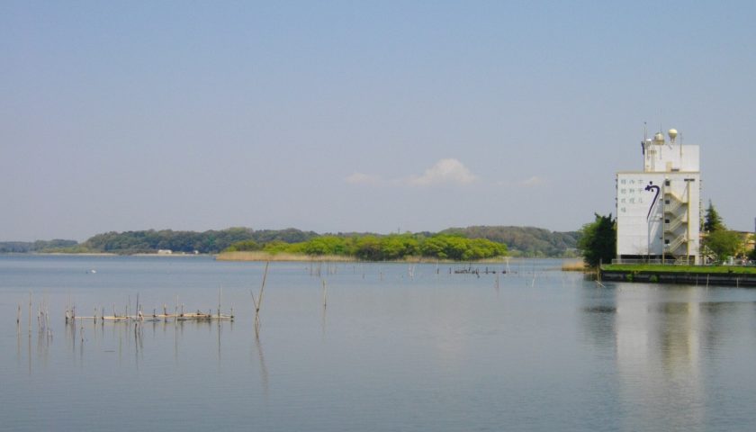 茨城県の絶景スポット「牛久沼」