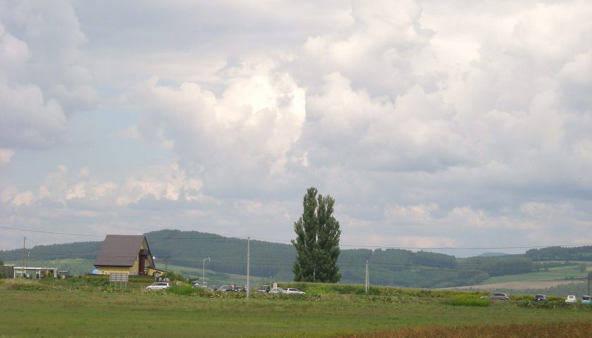 北海道の絶景スポット「ケンとメリーの木」