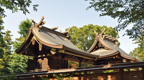鷲宮神社の絶景写真