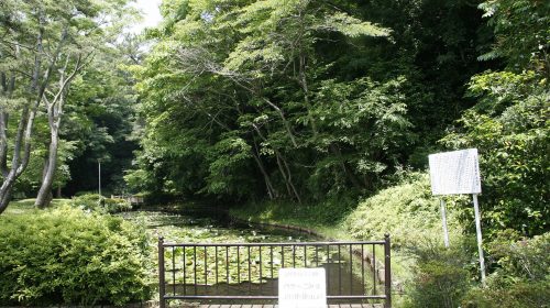 亘理城の絶景写真