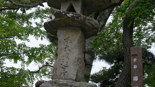 柳川城の絶景写真