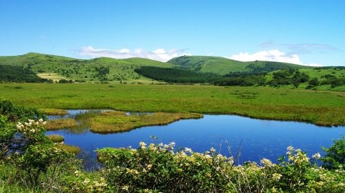八島ヶ原湿原の絶景写真