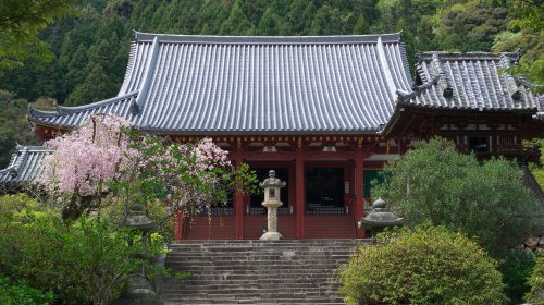 矢田寺の絶景写真