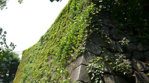 淀城の絶景写真