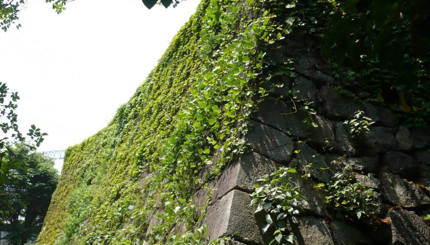京都府の絶景スポット「淀城」