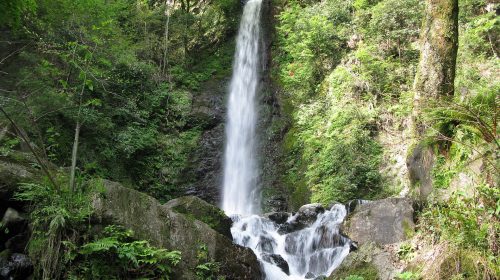 養老の滝の絶景写真