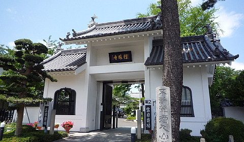 禅林寺の絶景写真