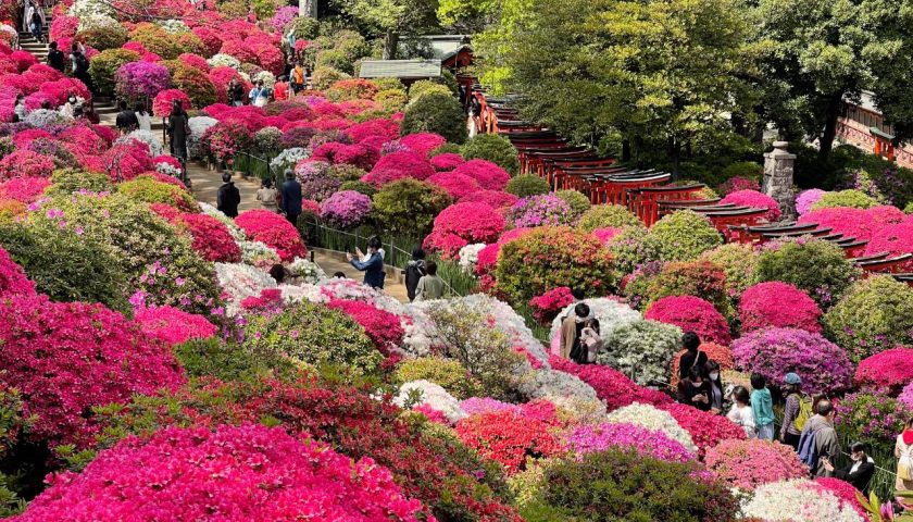 東京都の絶景スポット「根津神社」