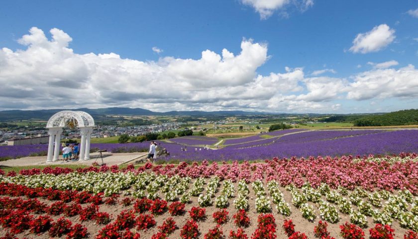 北海道の絶景スポット「日の出公園」