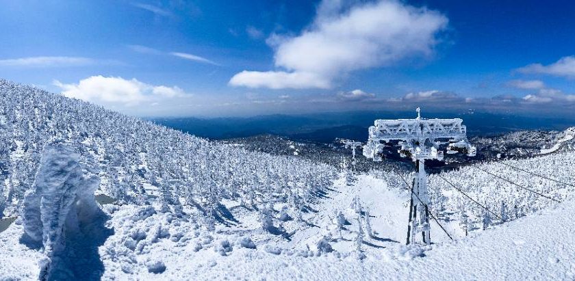 山形県の絶景スポット「蔵王の樹氷」