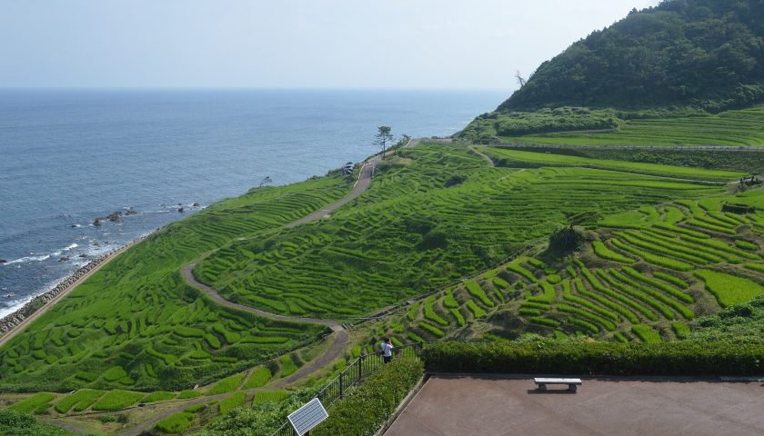 石川県の絶景スポット「白米千枚田」
