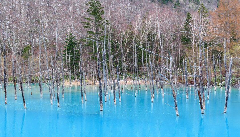 北海道の絶景スポット「青い池」