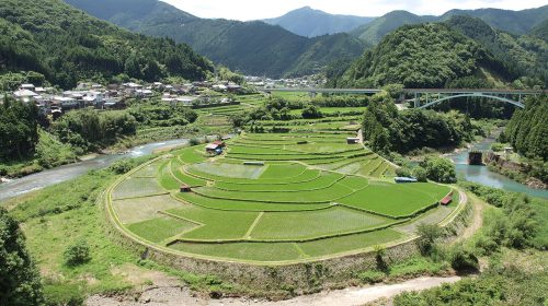 あらぎ島の絶景写真