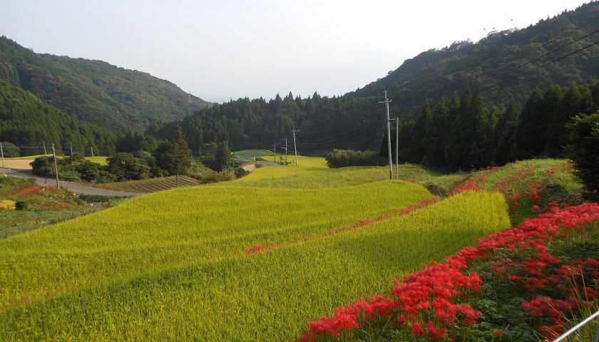 佐賀県の絶景スポット「江里山の棚田」