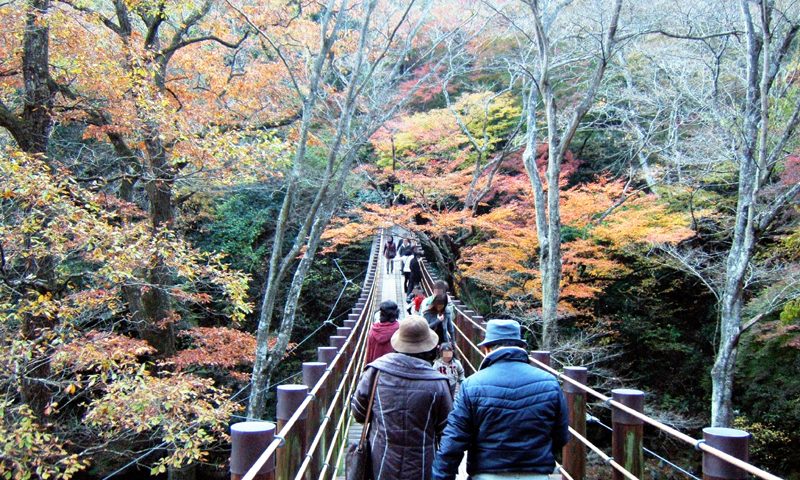 茨城県の絶景スポット「汐見滝吊橋」
