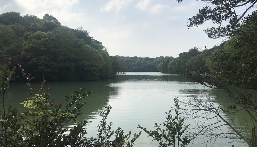 福岡県の絶景スポット「篠栗九大の森」