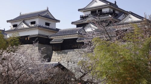 伊予松山城の絶景写真