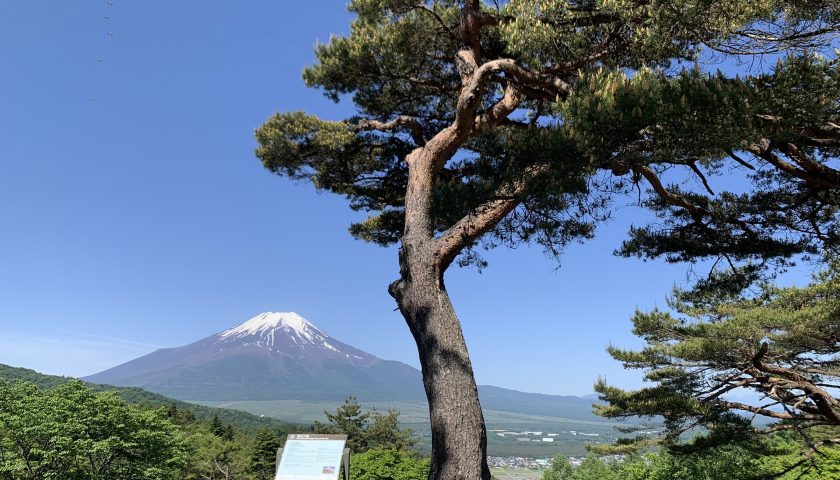 山梨県の絶景スポット「二十曲峠展望テラス SORA no IRO」