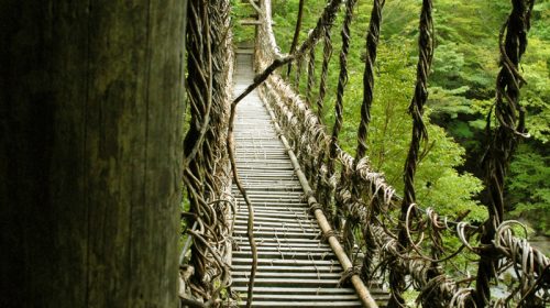 奥祖谷二重かずら橋の絶景写真