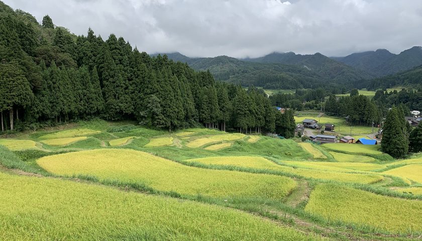 新潟県の絶景スポット「北五百川の棚田」