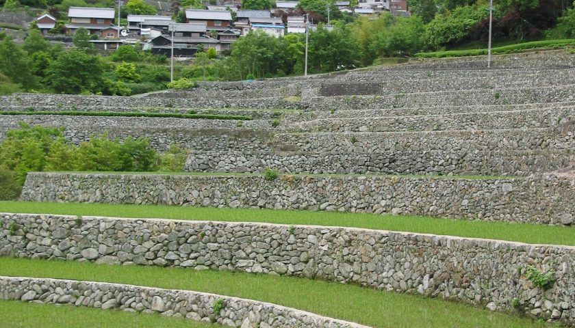 三重県の絶景スポット「深野の棚田」