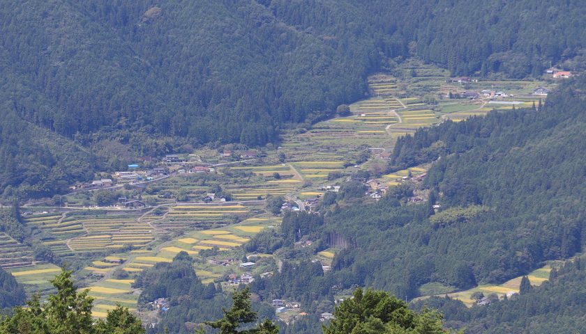 岐阜県の絶景スポット「坂折棚田」