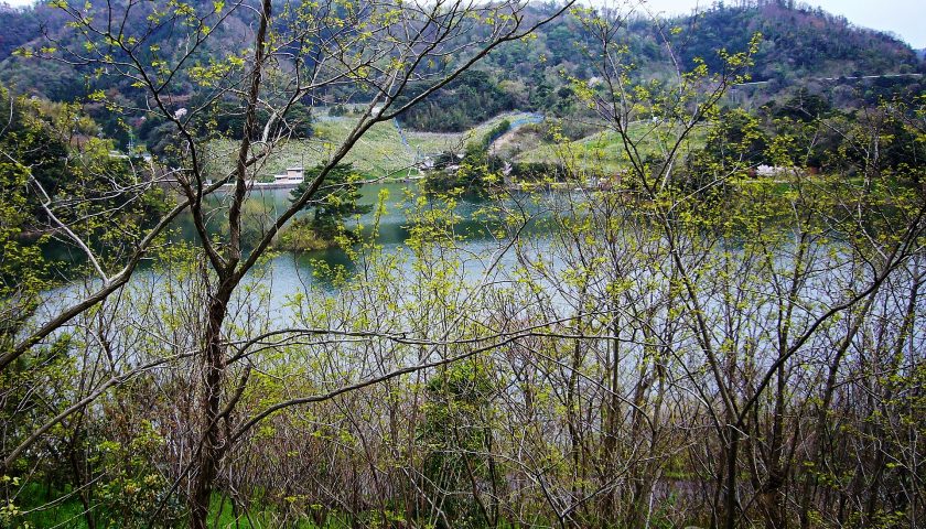 鳥取県の絶景スポット「多鯰ヶ池」