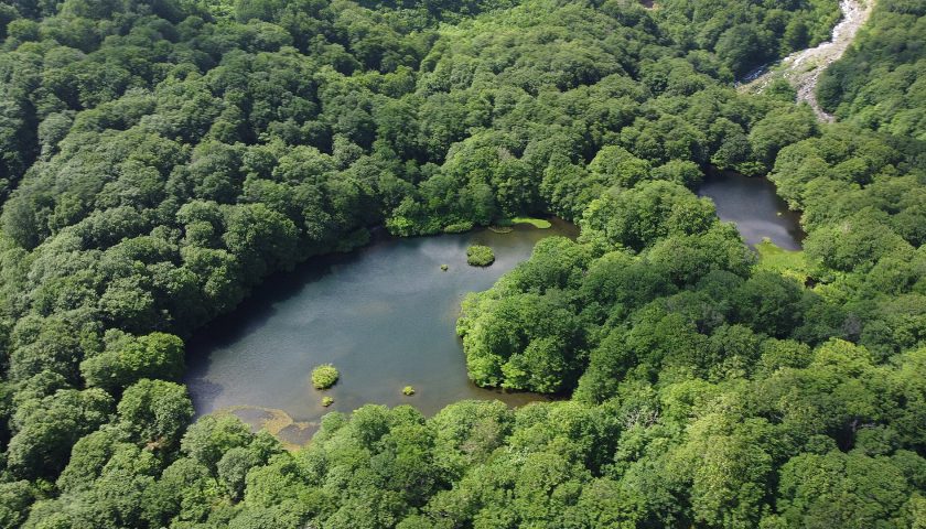 山形県の絶景スポット「鶴間池」