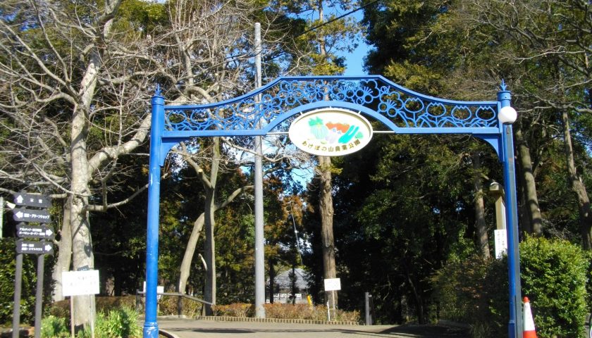 千葉県の絶景スポット「あけぼの山公園」