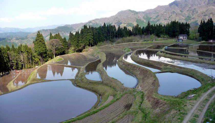 兵庫県の絶景スポット「うへ山の棚田」