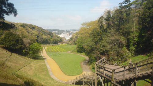 くりはま花の国の絶景写真