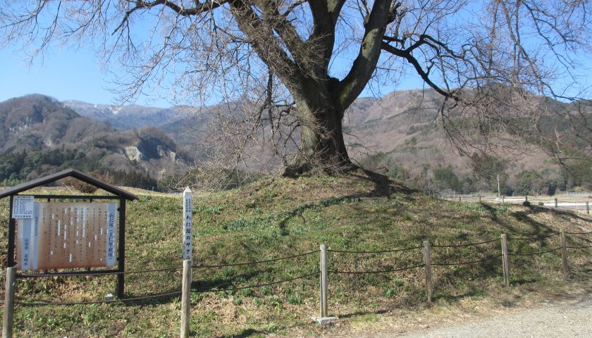 山梨県の絶景スポット「わに塚のサクラ」