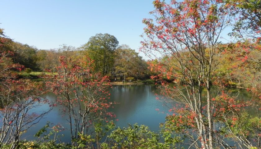 山形県の絶景スポット「ドッコ沼」