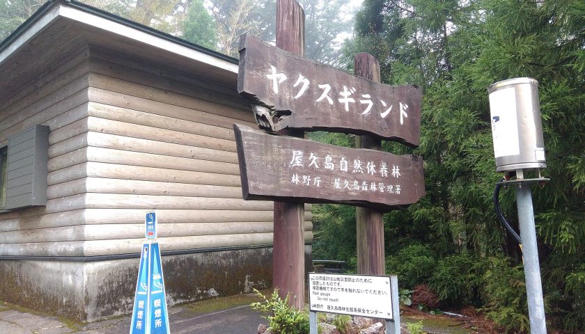 鹿児島県の絶景スポット「ヤクスギランド」