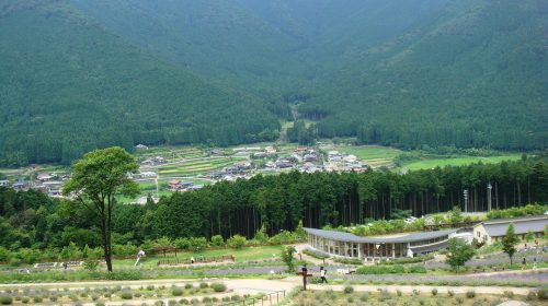 ラベンダーパーク多可の絶景写真