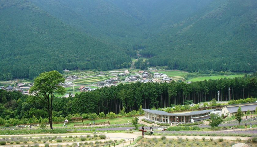 兵庫県の絶景スポット「ラベンダーパーク多可」